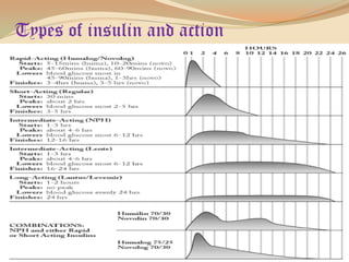 Types of insulin and action