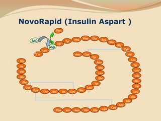    NovoRapid (Insulin Aspart )ProPheGlyArgPheAspTyrGluB20ThrGlyAspCysLysB28B30ThrValAsnCysA21TyrLeuA1GlyAsnTyrIleGluLeuValLeuAlaGluGlnGluGlnTyrValLeuCysSerCysLeuIleSerThrCysHisSerGlyCysLeuB1HisGlnAsnValPhe