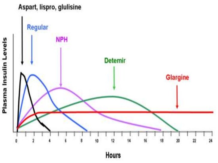 Levemir Peak Chart