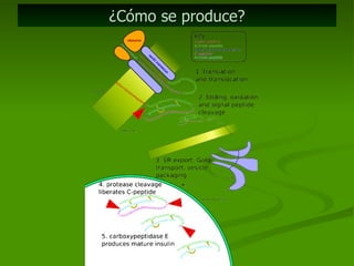 ¿Cómo se produce? 
