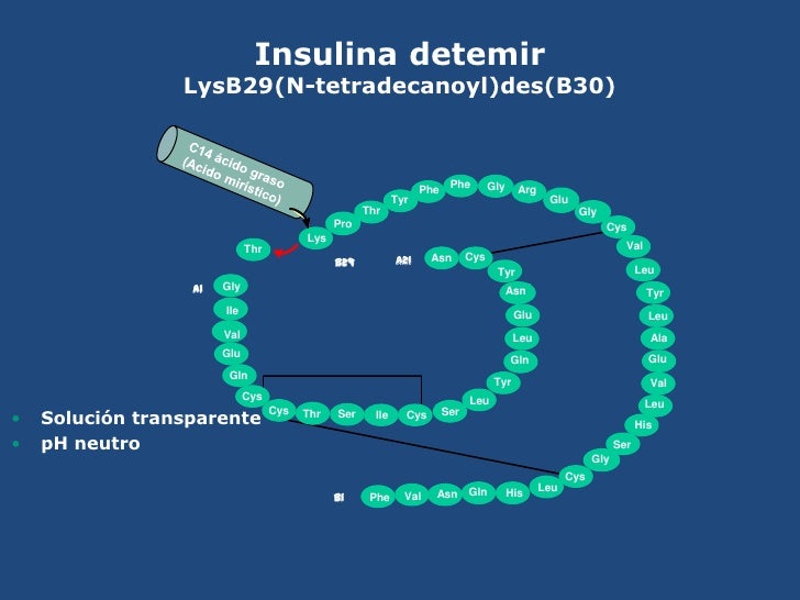 Actrapid insulin cleave ala
