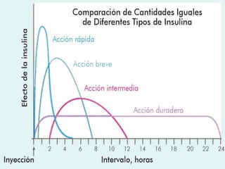 Insulina