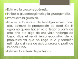  Estimula  la gluconeogénesis.
 Inhibe la gluconeogénesis y la glucogenolisis.
 Promueve la glucólisis.
 Favorece la síntesis de triacilgleceroles. Para
  ello, estimula la producción de acetil-Co El
  agua no quiero hacer va a llegar a partir de
  este año era algo de ese viaje hallazgo de
  luego dice el rendimiento educativo de la
  propuesta ya que no llega la A y también
  estimula la síntesis de ácidos grasos a partir de
  la acetil-CoA.
 Estimula la síntesis de proteínas.
 