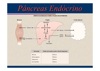 Pâncreas Endócrino

 