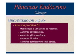 Pâncreas Endócrino
Glucagon
MECANISMO DE AÇÃO:
••

Atua via proteína Gs.
Atua via proteína Gs.
Mobilização e utilização de reservas.
Mobilização e utilização de reservas.
Aumenta glicogenólise.
•• Aumenta glicogenólise.
Aumenta gliconeogênese.
•• Aumenta gliconeogênese.
Aumenta Lipólise.
•• Aumenta Lipólise.
Aumenta formação de ceto-acidos.
•• Aumenta formação de ceto-acidos.
••

 