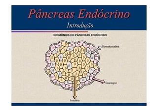 Pâncreas Endócrino
Introdução

 