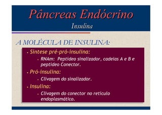 Pâncreas Endócrino
Insulina
A MOLÉCULA DE INSULINA:
••

Síntese pré-pró-insulina:
Síntese pré-pró-insulina:
••

••

Pró-insulina:
Pró-insulina:
••

••

RNAm: Peptídeo sinalizador, cadeias A e B e
RNAm: Peptídeo sinalizador, cadeias A e B e
peptídeo Conector.
peptídeo Conector.
Clivagem do sinalizador.
Clivagem do sinalizador.

Insulina:
Insulina:
••

Clivagem do conector no retículo
Clivagem do conector no retículo
endoplasmático.
endoplasmático.

 