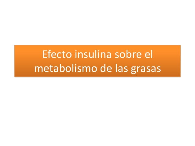 La insulina y sus funciones en el metabolismo La insulina y sus funciones en el metabolismo