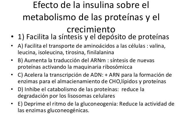 La insulina y sus funciones en el metabolismo La insulina y sus funciones en el metabolismo