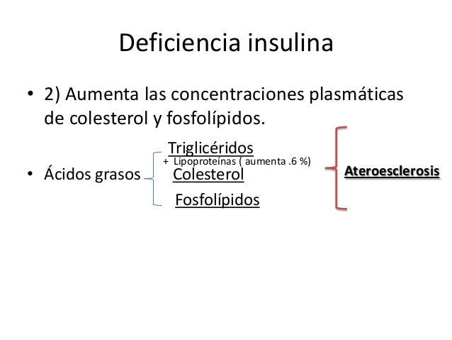 La insulina y sus funciones en el metabolismo La insulina y sus funciones en el metabolismo