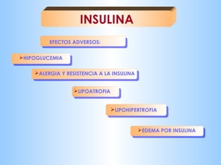 INSULINA 
EFECTOS ADVERSOS: 
HIPOGLUCEMIA 
LIPOHIPERTROFIA 
EDEMA POR INSULINA 
ALERGIA Y RESISTENCIA A LA INSULINA 
LIPOATROFIA 
 
