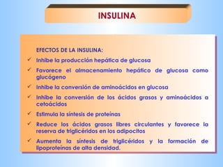 INSULINA 
EFECTOS DE LA INSULINA: 
 Inhibe la producción hepática de glucosa 
 Favorece el almacenamiento hepático de glucosa como 
glucógeno 
 Inhibe la conversión de aminoácidos en glucosa 
 Inhibe la conversión de los ácidos grasos y aminoácidos a 
cetoácidos 
 Estimula la síntesis de proteínas 
 Reduce los ácidos grasos libres circulantes y favorece la 
reserva de triglicéridos en los adipocitos 
 Aumenta la síntesis de triglicéridos y la formación de 
lipoproteínas de alta densidad. 
 