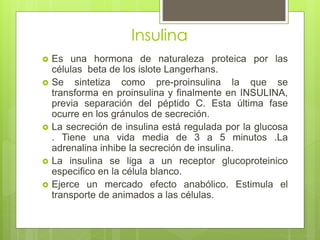 Insulina
 Es una hormona de naturaleza proteica por las
células beta de los islote Langerhans.
 Se sintetiza como pre-proinsulina la que se
transforma en proinsulina y finalmente en INSULINA,
previa separación del péptido C. Esta última fase
ocurre en los gránulos de secreción.
 La secreción de insulina está regulada por la glucosa
. Tiene una vida media de 3 a 5 minutos .La
adrenalina inhibe la secreción de insulina.
 La insulina se liga a un receptor glucoproteinico
especifico en la célula blanco.
 Ejerce un mercado efecto anabólico. Estimula el
transporte de animados a las células.
 