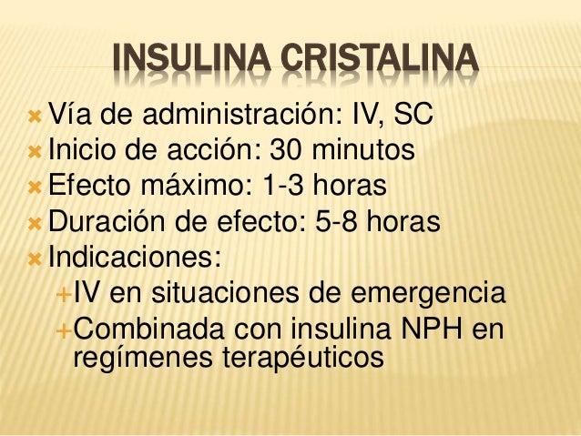 Insulina Insulina
