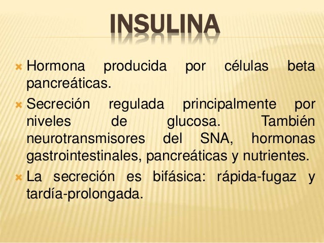 Insulina Insulina