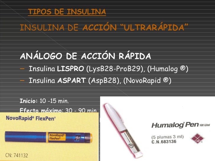 Insulina Bacteriana para la Diabetes Insulina Bacteriana para la Diabetes