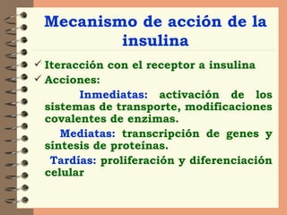 Mecanismo de acción de la insulina Iteracción con el receptor a insulina Acciones: Inmediatas:   activación de los sistemas de transporte, modificaciones covalentes de enzimas. Mediatas:  transcripción de genes y síntesis de proteínas. Tardías:   proliferación y diferenciación celular 
