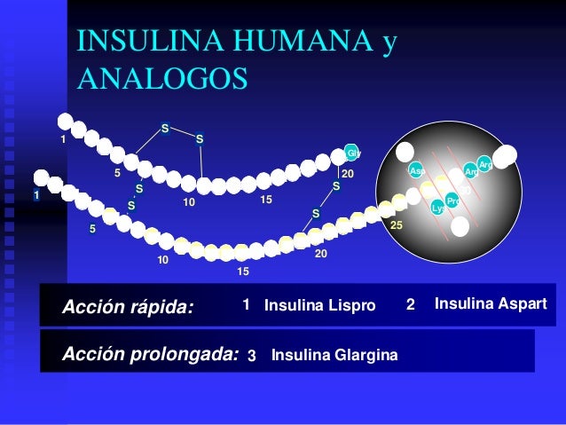 Insulina glargina farmacologia clinica Insulina glargina farmacologia clinica