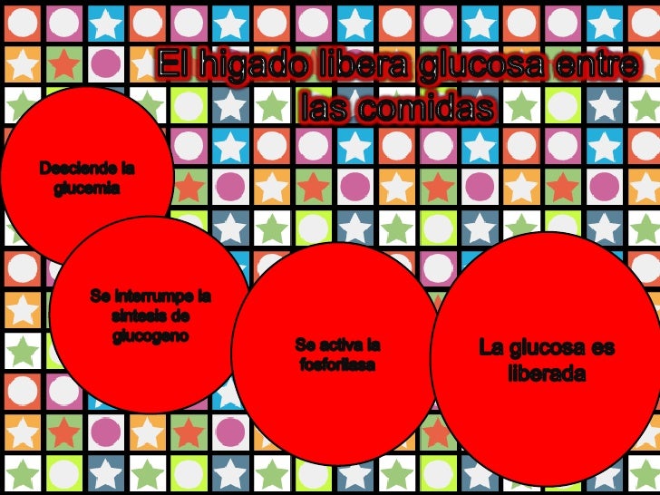 Insulina,glucagón y diabetes Insulina,glucagón y diabetes