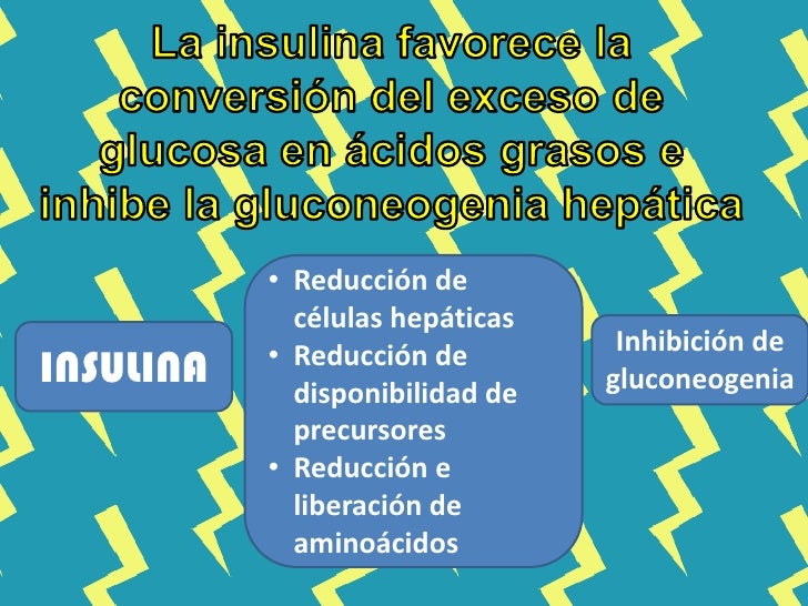 Insulina,glucagón y diabetes Insulina,glucagón y diabetes