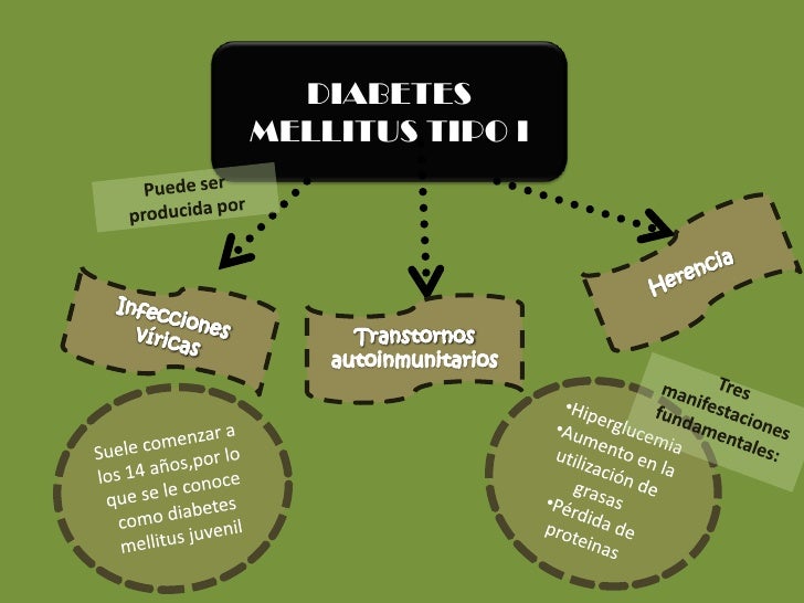 Insulina,glucagón y diabetes Insulina,glucagón y diabetes