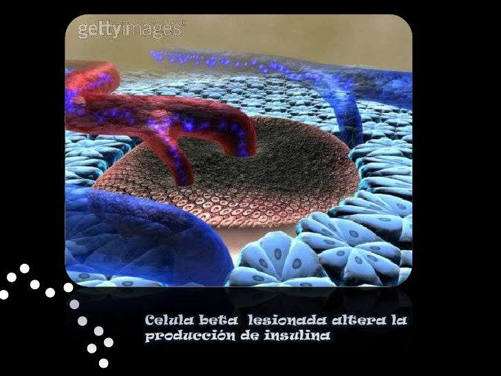 Insulina,glucagón y diabetes Insulina,glucagón y diabetes