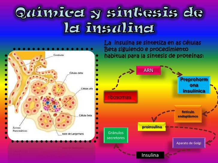 Insulina,glucagón y diabetes Insulina,glucagón y diabetes