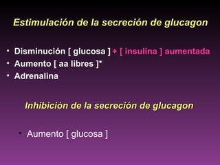 Estimulación de la secreción de glucagon

• Disminución [ glucosa ] + [ insulina ] aumentada
• Aumento [ aa libres ]*
• Adrenalina


    Inhibición de la secreción de glucagon


  • Aumento [ glucosa ]
 