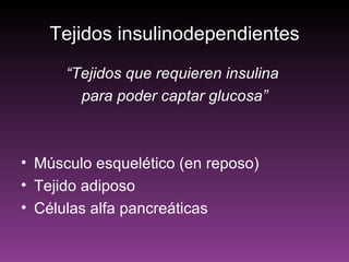 Tejidos insulinodependientes
      “Tejidos que requieren insulina
        para poder captar glucosa”



• Músculo esquelético (en reposo)
• Tejido adiposo
• Células alfa pancreáticas
 