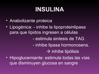 INSULINA
• Anabolizante proteica
• Lipogénica: - inhibe la lipoproteinlipasa
  para que lípidos ingresen a células
              - estimula sintesis de TAG
              - inhibe lipasa hormonosens.
                       inhibe lipólisis
• Hipoglucemiante: estimula todas las vías
  que disminuyen glucosa en sangre
 