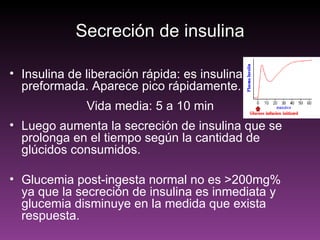 Secreción de insulina

• Insulina de liberación rápida: es insulina
  preformada. Aparece pico rápidamente.
              Vida media: 5 a 10 min
• Luego aumenta la secreción de insulina que se
  prolonga en el tiempo según la cantidad de
  glúcidos consumidos.

• Glucemia post-ingesta normal no es >200mg%
  ya que la secreción de insulina es inmediata y
  glucemia disminuye en la medida que exista
  respuesta.
 