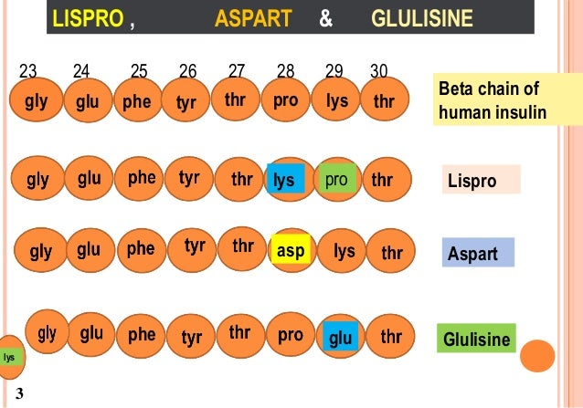 Insulin analogues ppt