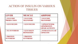 ACTION OF INSULIN ON VARIOUS
TISSUES
LIVER MUSCLE ADIPOSE
↓ GLUCOSE
PRODUCTION
↑ GLUCOSE
TRANSPORT
↑ GLUCOSE
TRANSPORT
↑ GLYCOLYSIS ↑ GLYCOLYSIS ↑ LIPOGENESIS&
LIPOPROTEIN
LIPASE ACTIVITY
↑ TG SYNTHESIS ↑ GLYCOGEN
DEPOSITION
↓ INTRACELLULAR
LIPOLYSIS
↑ PROTEIN
SYNTHESIS
↑ PROTEIN
SYNTHESIS
 
