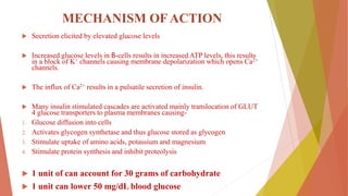MECHANISM OF ACTION
 Secretion elicited by elevated glucose levels
 Increased glucose levels in β-cells results in increased ATP levels, this results
in a block of K+ channels causing membrane depolarization which opens Ca2+
channels.
 The influx of Ca2+ results in a pulsatile secretion of insulin.
 Many insulin stimulated cascades are activated mainly translocation of GLUT
4 glucose transporters to plasma membranes causing-
1. Glucose diffusion into cells
2. Activates glycogen synthetase and thus glucose stored as glycogen
3. Stimulate uptake of amino acids, potassium and magnesium
4. Stimulate protein synthesis and inhibit proteolysis
 1 unit of can account for 30 grams of carbohydrate
 1 unit can lower 50 mg/dL blood glucose
 