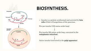 Insulin and its mechanism of action. | PPTX