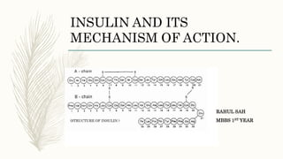INSULIN AND ITS
MECHANISM OF ACTION.
RAHUL SAH
(STRUCTURE OF INSULIN ) MBBS 1ST YEAR
 