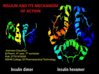 INSULIN AND ITS MECHANISM
OF ACTION

INSULIN AND ITS MECHANISM OF
ACTION

-Ashmita Chaudhuri
B.Pharm, 4th year, 7th semester
Roll- 27701910050
NSHM College Of Pharmaceutical Technology

 