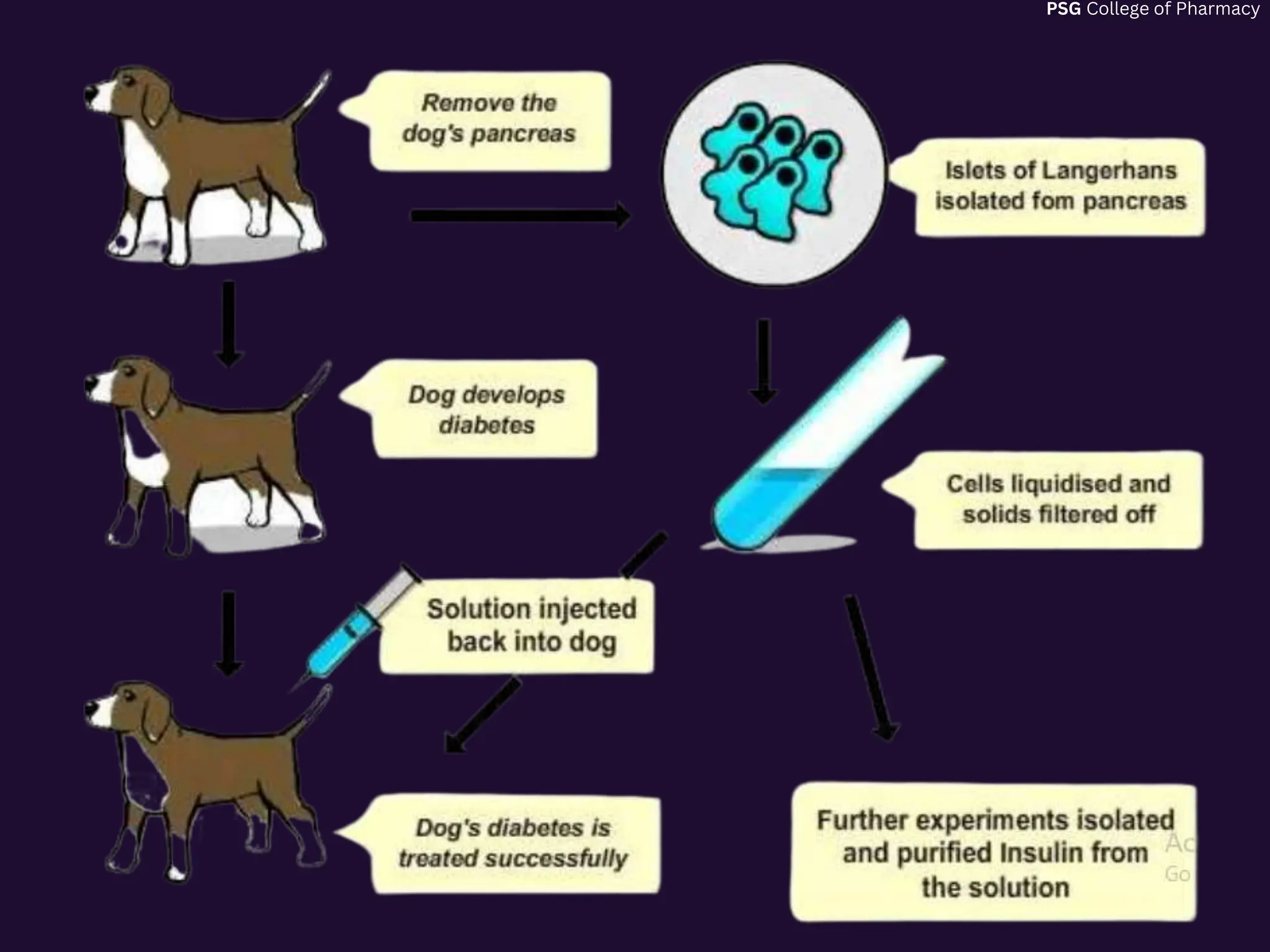 Insulin and its Preperation Medicinal Chemistry 2.pptx