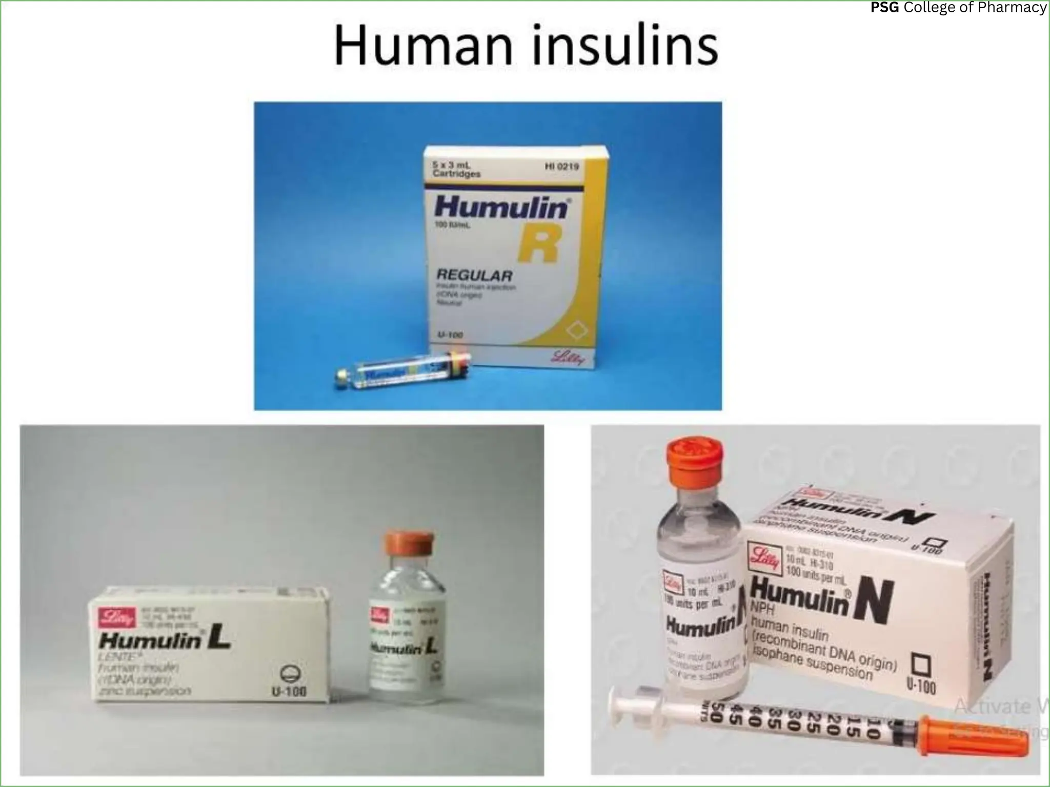 Insulin and its Preperation Medicinal Chemistry 2.pptx