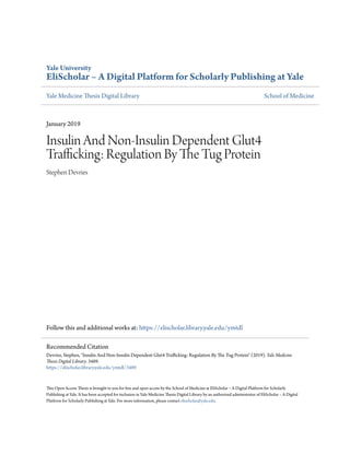 Yale University
EliScholar – A Digital Platform for Scholarly Publishing at Yale
Yale Medicine Thesis Digital Library School of Medicine
January 2019
Insulin And Non-Insulin Dependent Glut4
Trafficking: Regulation By The Tug Protein
Stephen Devries
Follow this and additional works at: https://elischolar.library.yale.edu/ymtdl
This Open Access Thesis is brought to you for free and open access by the School of Medicine at EliScholar – A Digital Platform for Scholarly
Publishing at Yale. It has been accepted for inclusion in Yale Medicine Thesis Digital Library by an authorized administrator of EliScholar – A Digital
Platform for Scholarly Publishing at Yale. For more information, please contact elischolar@yale.edu.
Recommended Citation
Devries, Stephen, "Insulin And Non-Insulin Dependent Glut4 Trafficking: Regulation By The Tug Protein" (2019). Yale Medicine
Thesis Digital Library. 3489.
https://elischolar.library.yale.edu/ymtdl/3489
 
