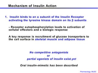 Mechanism of Insulin Action 1.  Insulin binds to an    subunit of the Insulin Receptor activating the tyrosine kinase domain on its    subunits - Receptor autophosphorylation leads to activation of cellular effectors and a biologic response A key response is recruitment of glucose transporters to the cell surface   in  skeletal muscle and adipose tissue No competitive antagonists or  partial agonists of insulin exist Oral insulin-mimetic has been described ...yet 