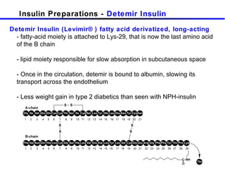 Insulin Preparations -  Detemir Insulin Detemir Insulin (Levimir®) fatty acid derivatized, long-acting -  fatty-acid moiety is attached to Lys-29, that is now the last amino acid of the B chain - lipid moiety responsible for slow absorption in subcutaneous space  - Once in the circulation, detemir is bound to albumin, slowing its  transport across the endothelium - Less weight gain in type 2 diabetics than seen with NPH-insulin 