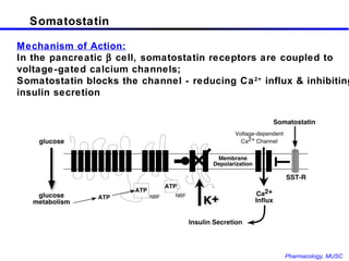 Somatostatin Mechanism of Action: In the pancreatic    cell, somatostatin receptors are coupled to voltage-gated calcium channels; Somatostatin blocks the channel - reducing Ca 2+  influx & inhibiting insulin secretion 