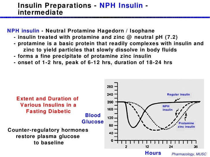 Simulated firstphase insulin release using Humulin or
