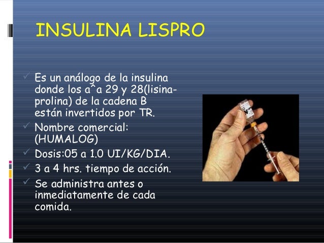 Insulina Insulina