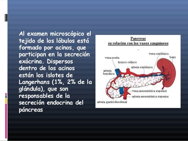 Insulina Insulina