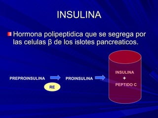 INSULINA Hormona polipeptidica que se segrega por las celulas  β  de los islotes pancreaticos. PREPROINSULINA PROINSULINA INSULINA PEPTIDO C RE + 