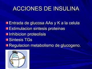 ACCIONES DE INSULINA Entrada de glucosa AAs y K a la celula Estimulacion sintesis proteinas Inhibicion proteolisis Sintesis TGs Regulacion metabolismo de glucogeno. 