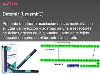 LENTA

Detemir (Levemir®)

Presenta una fuerte asociación de sus moléculas en
el lugar de inyección y además se une a receptores
de ácidos grasos de la albúmina, tanto en el tejido
subcutáneo como en el torrente circulatorio
 