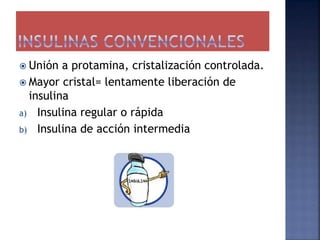  Unión a protamina, cristalización controlada.
 Mayor cristal= lentamente liberación de
insulina
a) Insulina regular o rápida
b) Insulina de acción intermedia
 